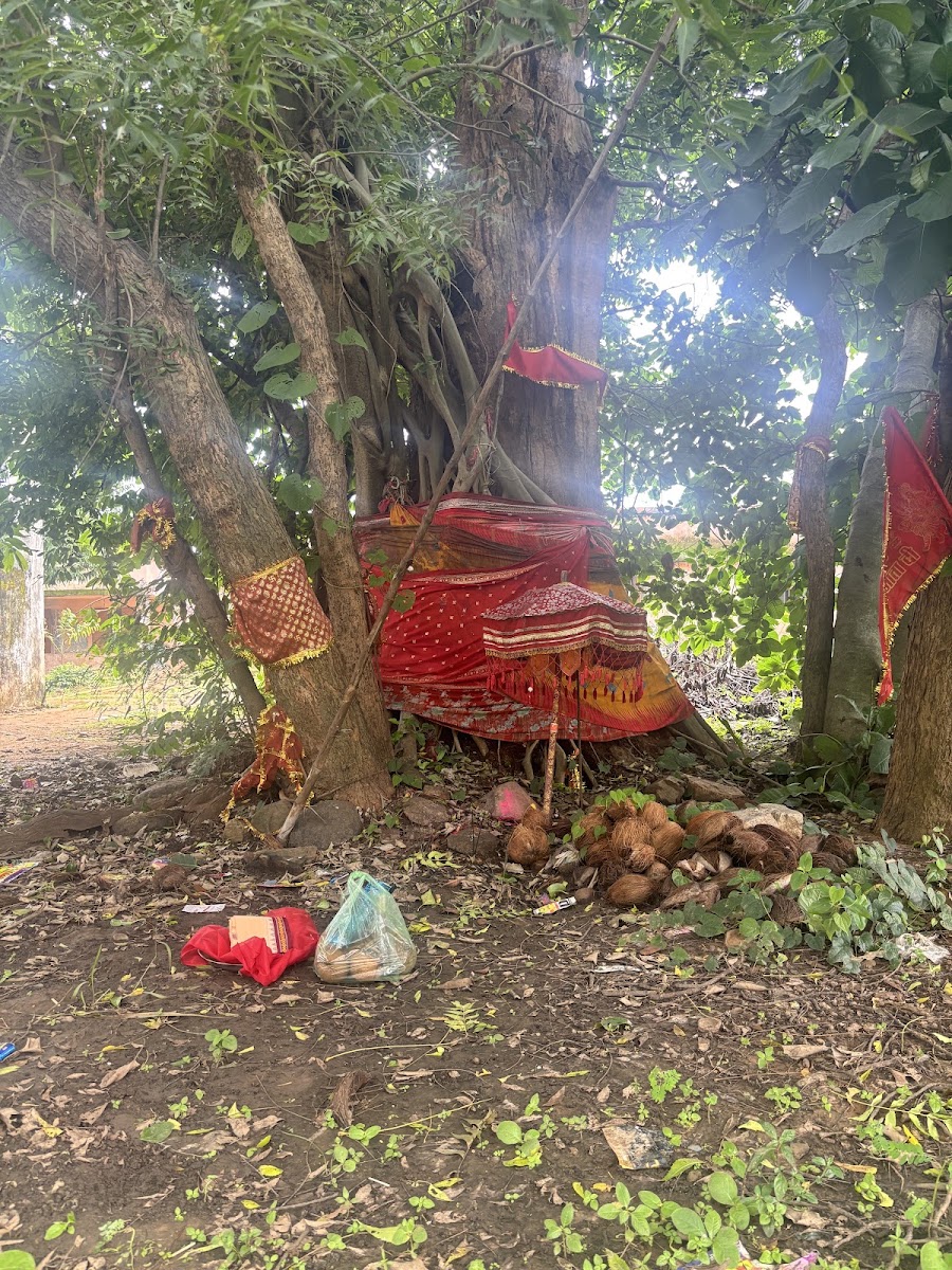 Maa Luhurenbai Sacred Tree
